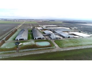 Property photo 4 - OHIO DAIRY AUCTION - 193+/- ACRES IN 4 TRACTS IN PUTNAM COUNTY, OHIO